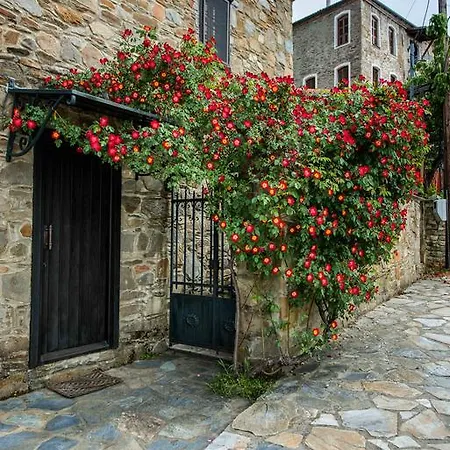 Mulberry House *
