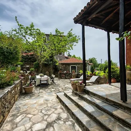 Mulberry House