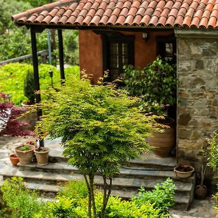 Mulberry House * Sithonia